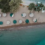 Acta 3* Vivari