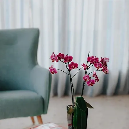 Aparthotel Acta Vivari