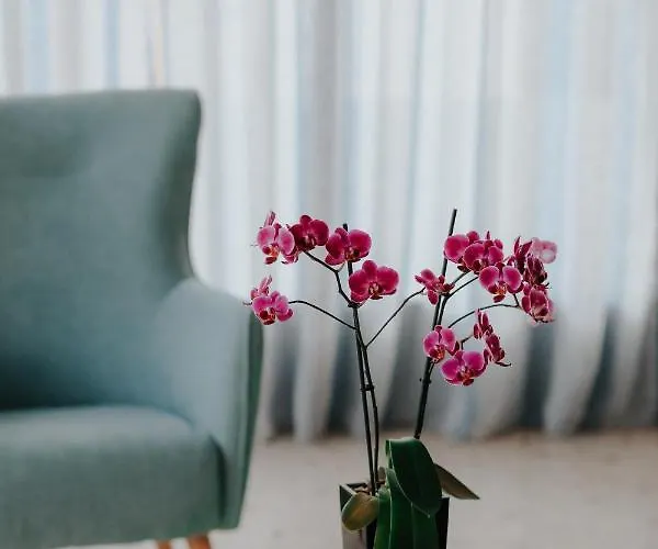 Apartahotel Acta Vivári