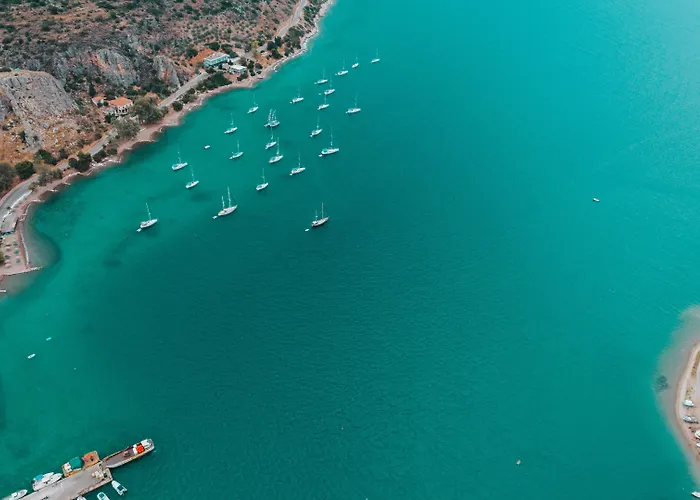 Acta Apartahotel Vivári